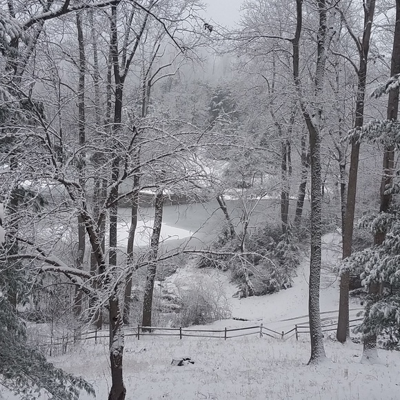 Meet your Posher, N - Picture 3 of 8